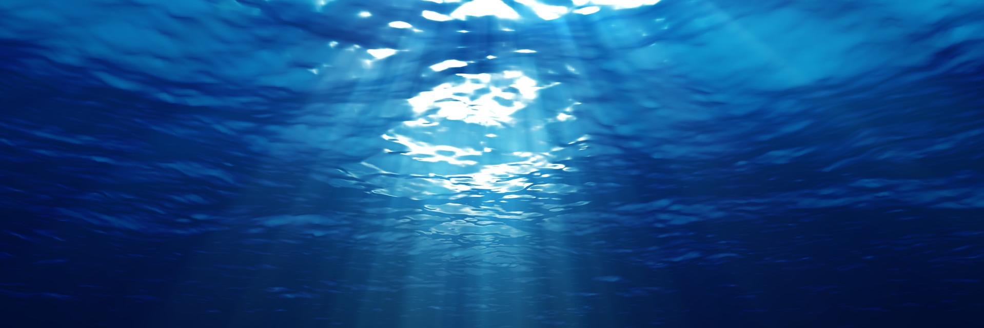 Hasan Basarir banner