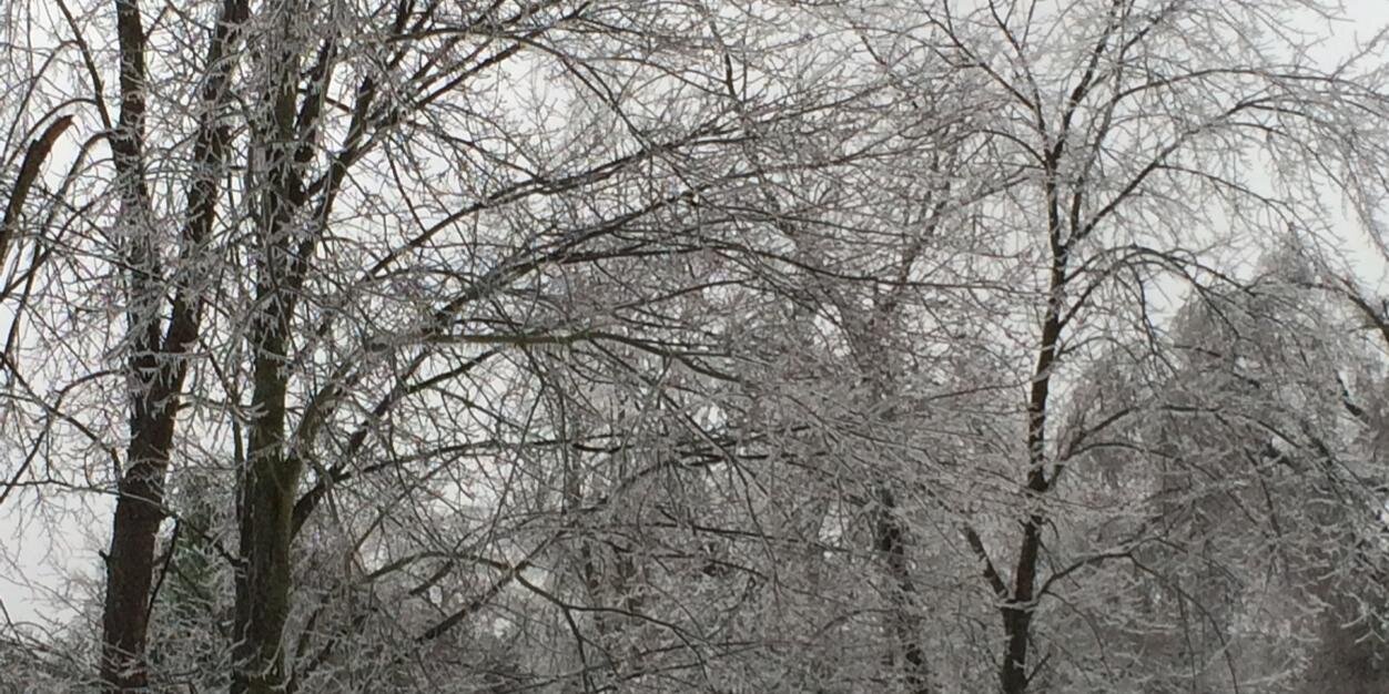 ncvecore's profile banner image