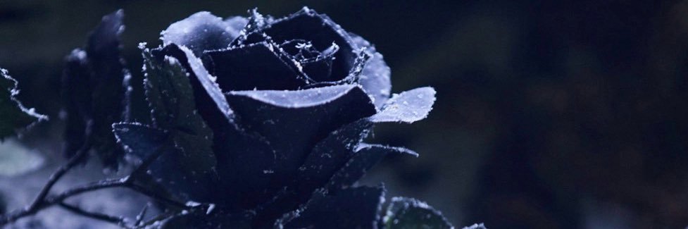 Mario_GzzA's profile banner image