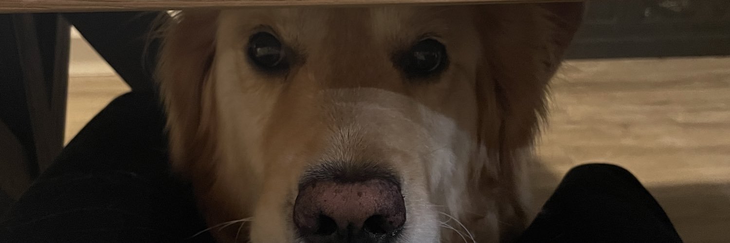 vonsteee's profile banner image
