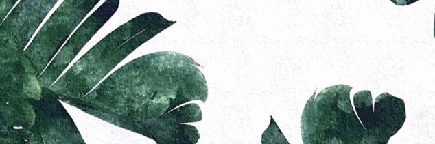 Jennie_Bond's profile banner image