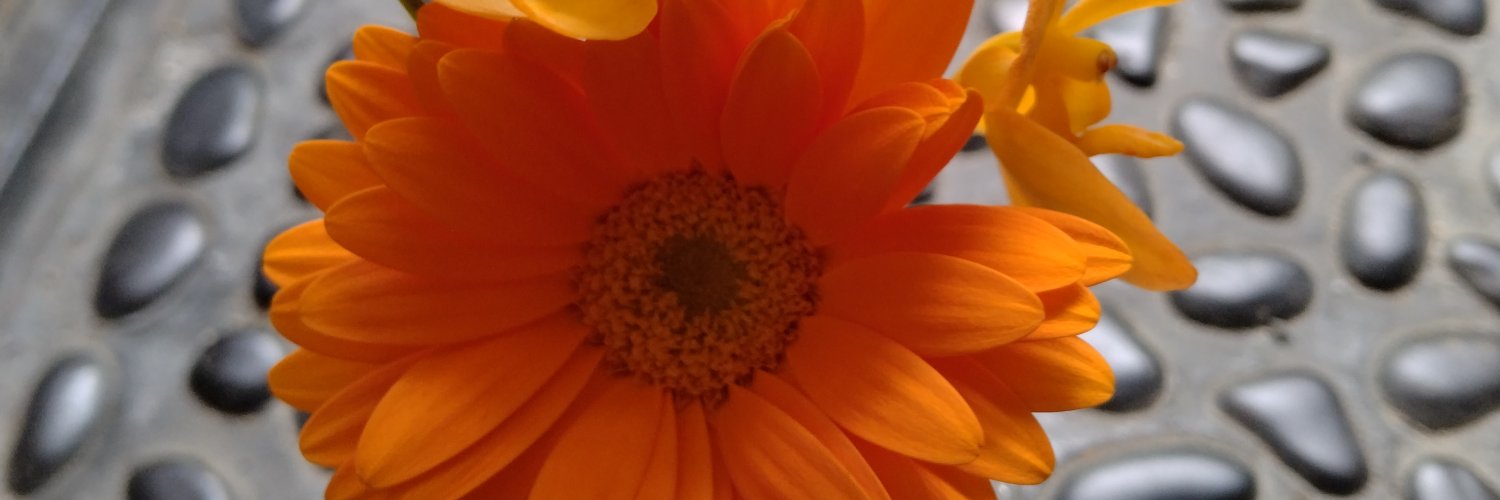 SlkyEcosys's profile banner image