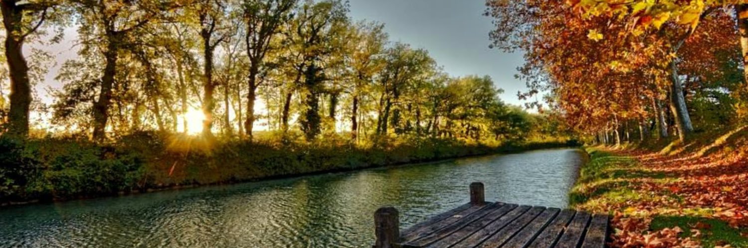 alrashed_hanan's profile banner image