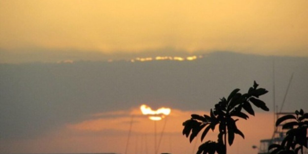 JardinAdri's profile banner image
