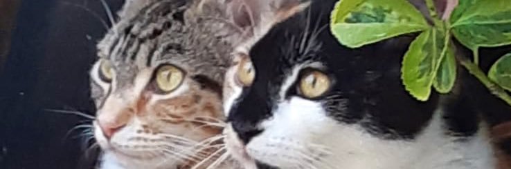 garypiper17's profile banner image
