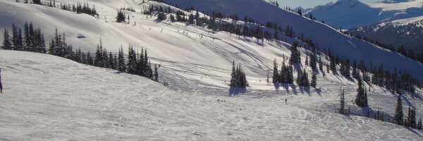 BruceF007 Profile Banner