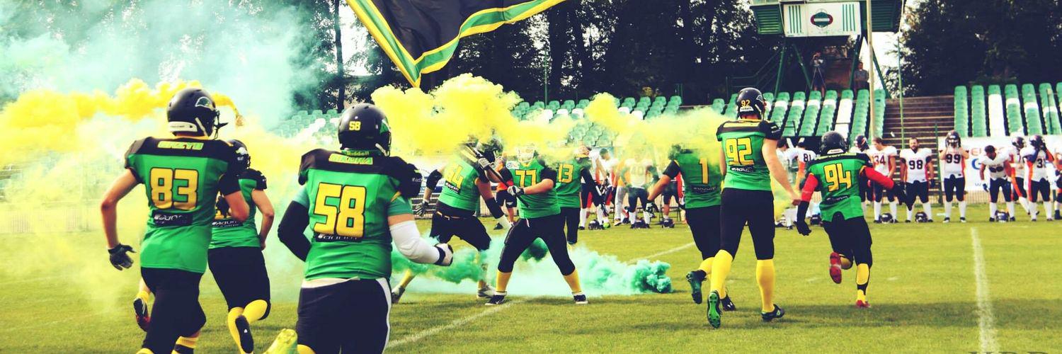 GreenDucksRadom's profile banner image