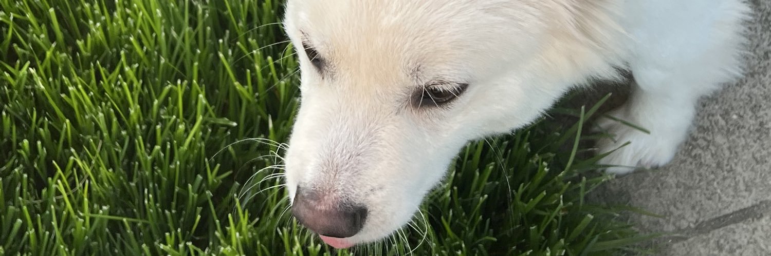 phiplups's profile banner image