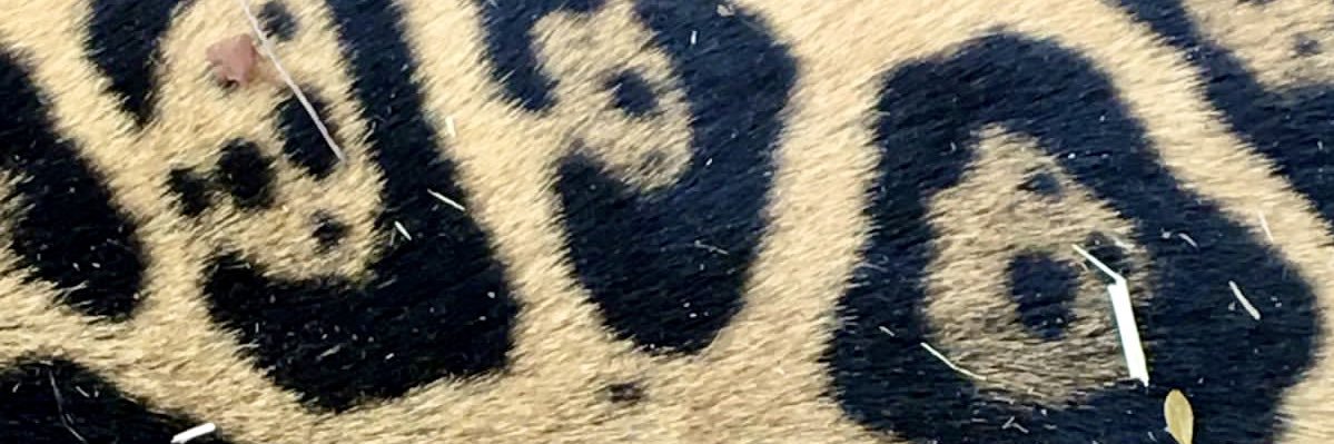 malvicupp's profile banner image