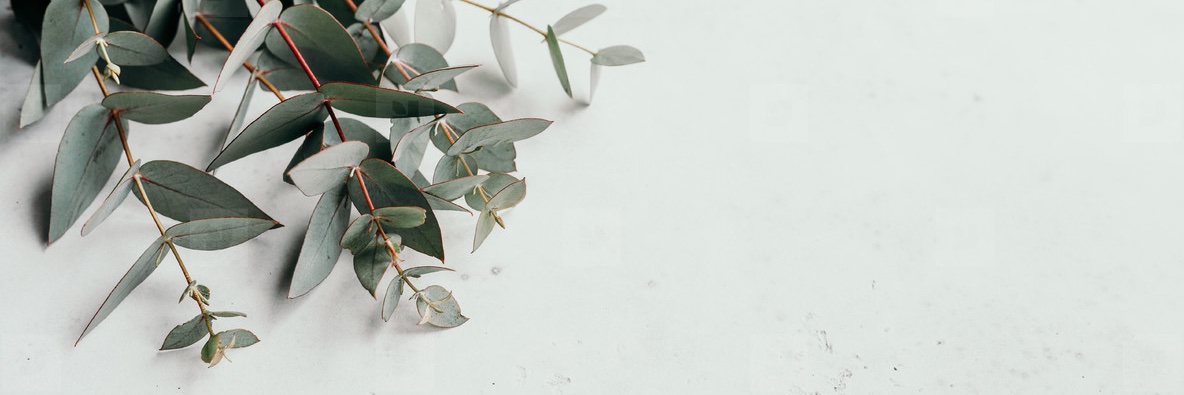 JustTo_NICE's profile banner image