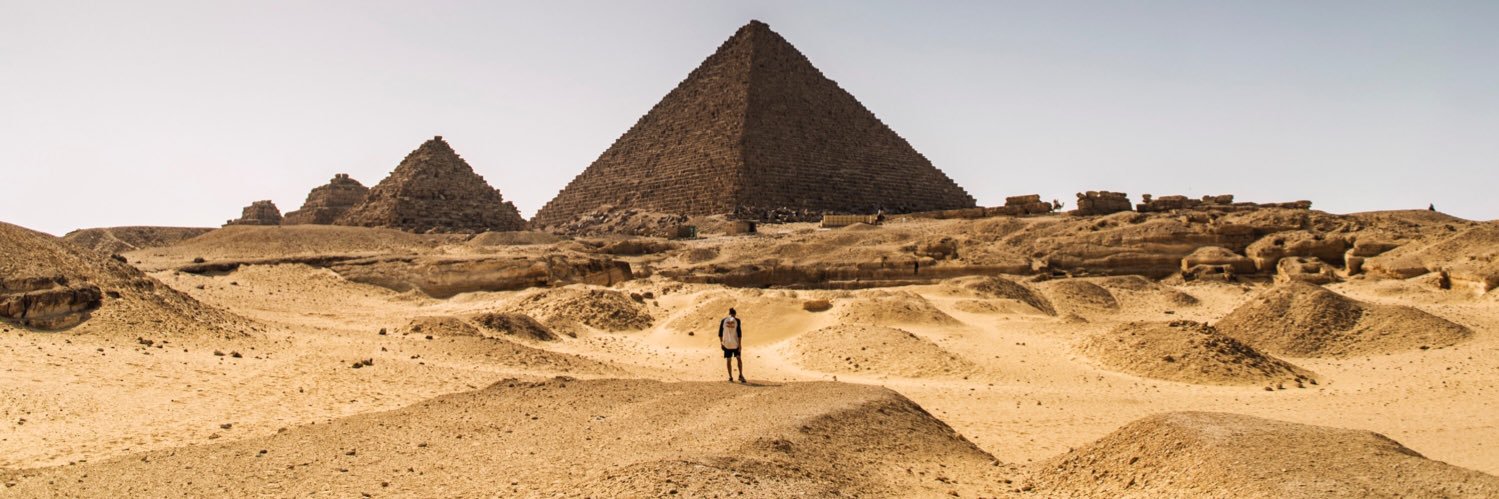 Dominic Di Tommaso banner