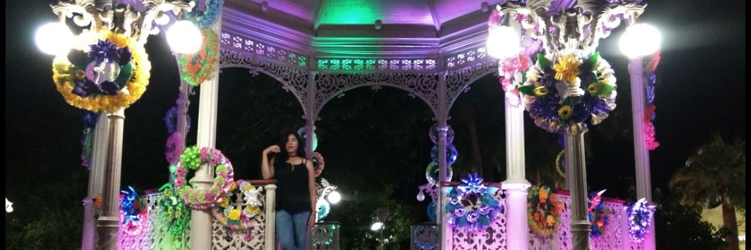 MonicaValenzuR's profile banner image