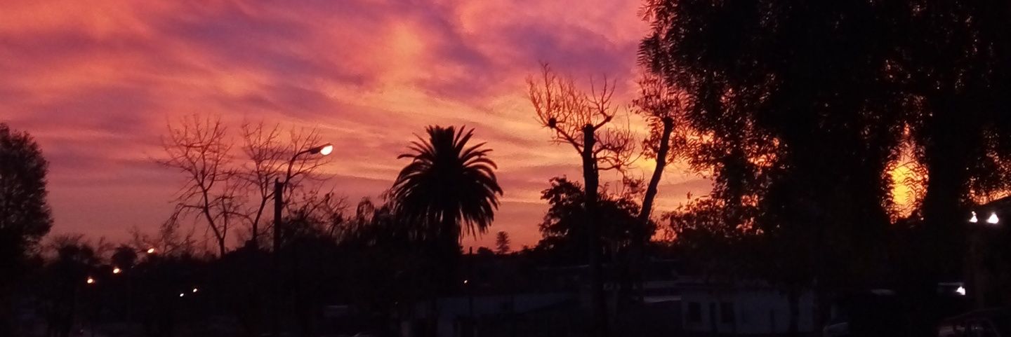 _lopeez__'s profile banner image