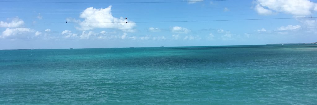 jbu1216's profile banner image
