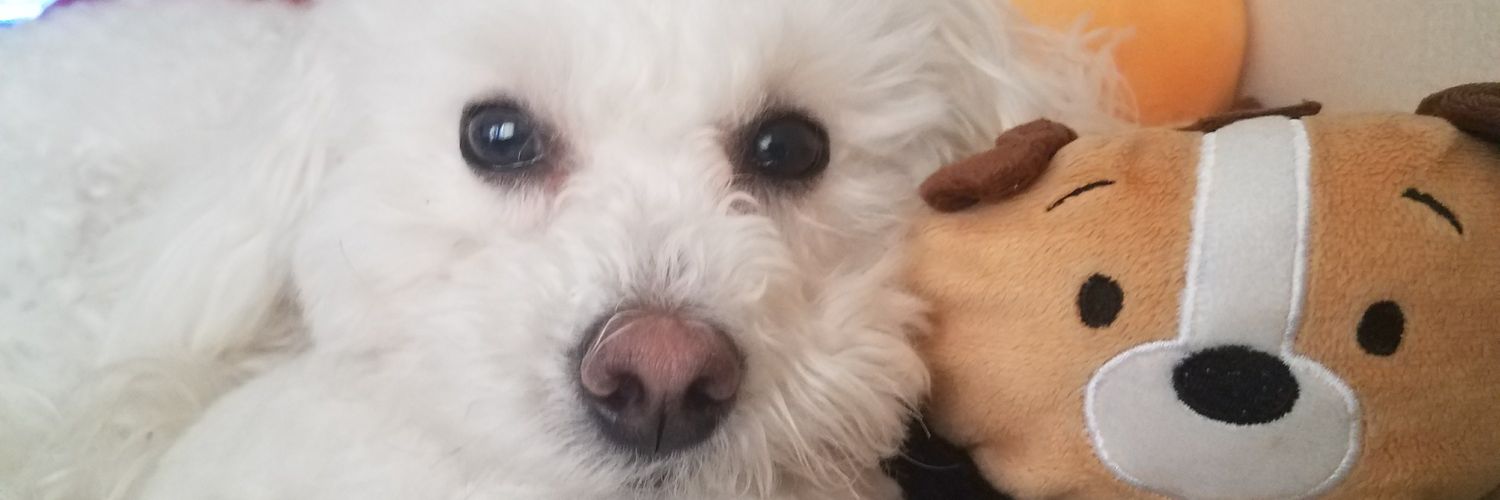 AiriChan92's profile banner image