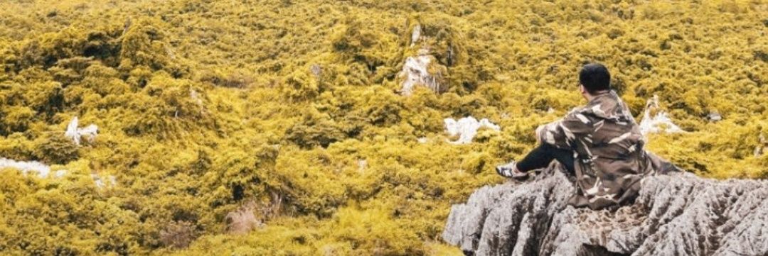 eric_zoned's profile banner image