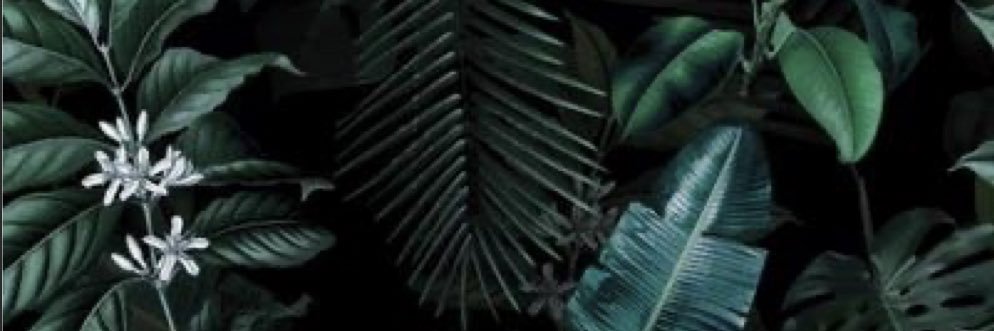 SignatureKai_'s profile banner image