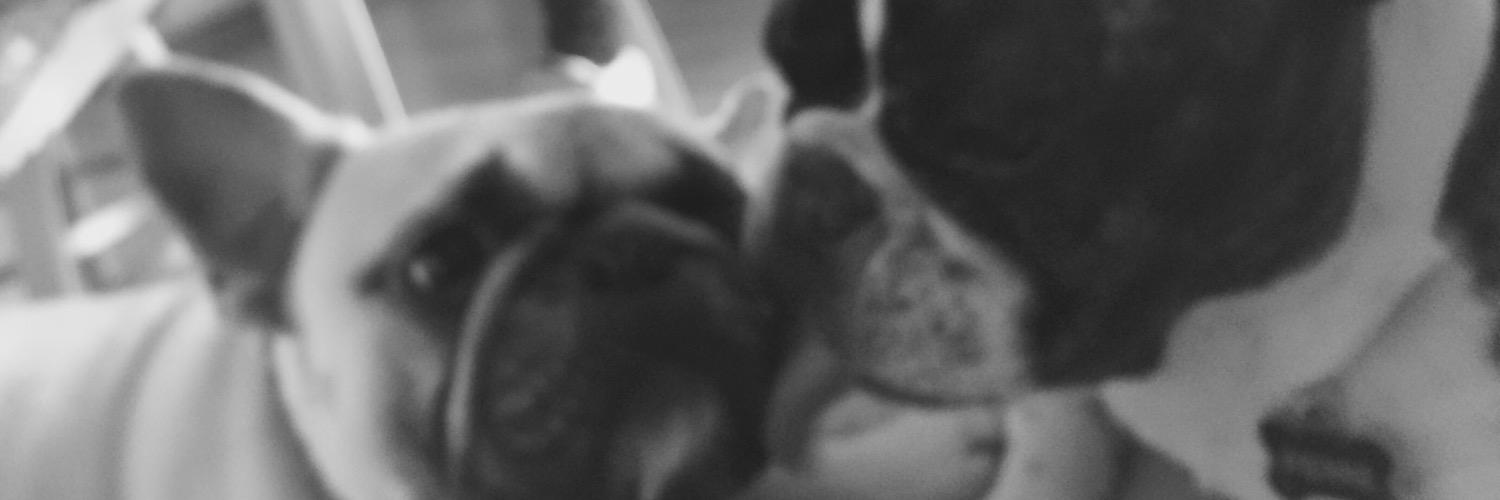 FrenchJule's profile banner image