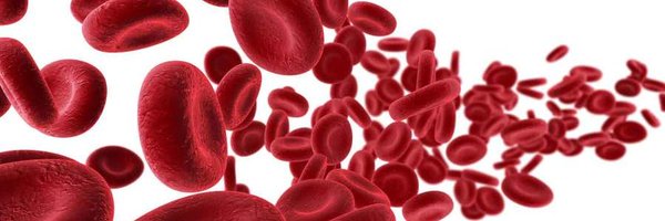 davidhenrymd Profile Banner