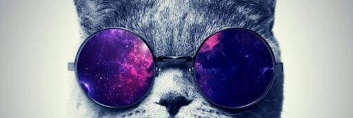 wendhelf's profile banner image