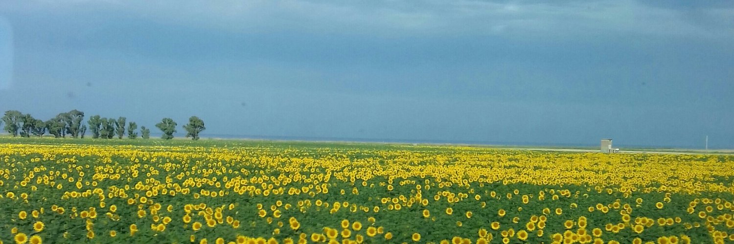 saccangelo's profile banner image
