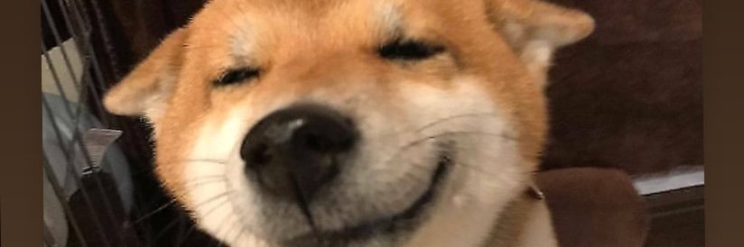 K_Danisha's profile banner image