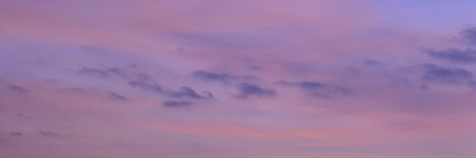 MaggyBarronG's profile banner image