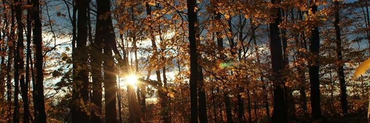 bdelaney101's profile banner image