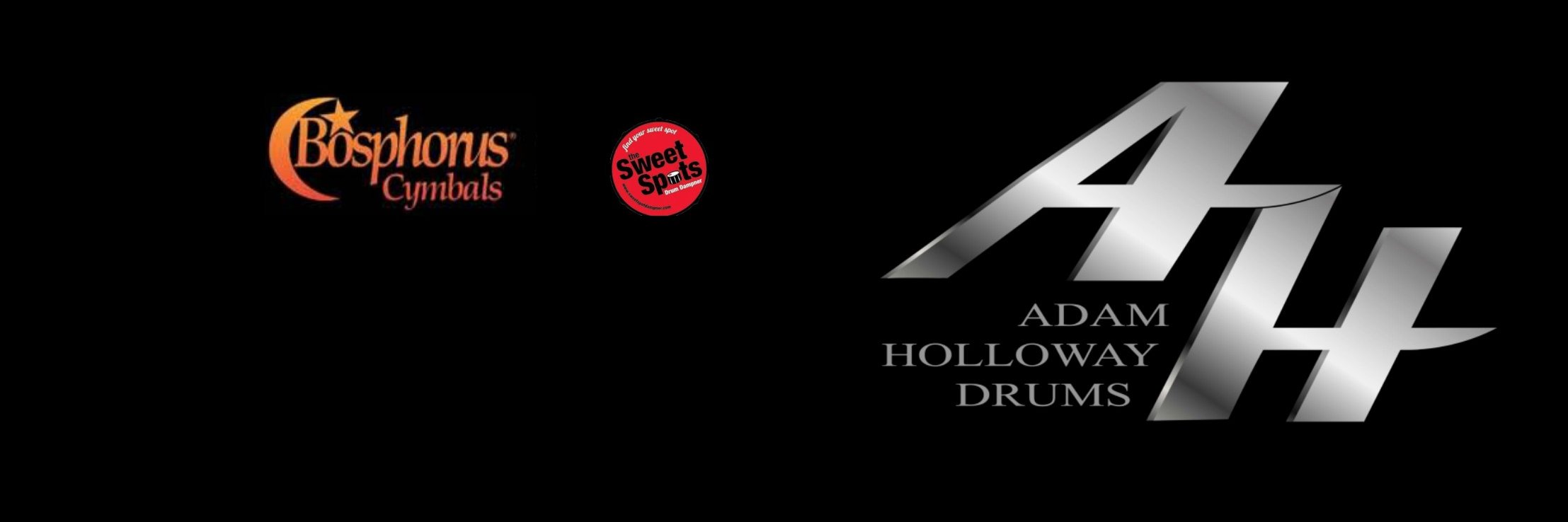 Adam Holloway banner