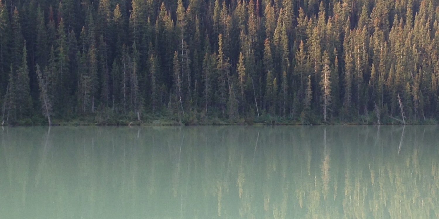 jennallena's profile banner image
