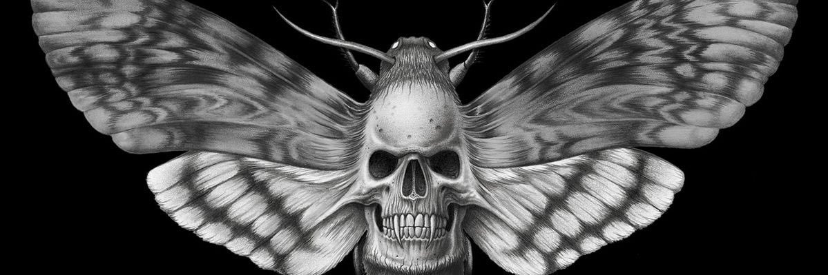 Feer_A7x's profile banner image