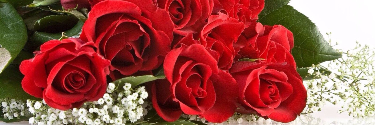 Judy_Cockerton's profile banner image