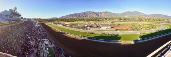 SAPublicity Profile Banner