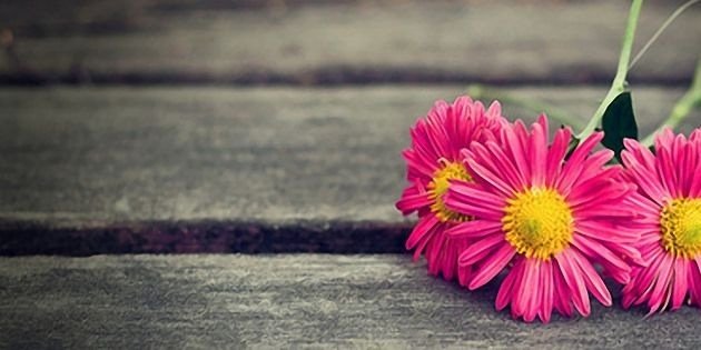 mafog04's profile banner image