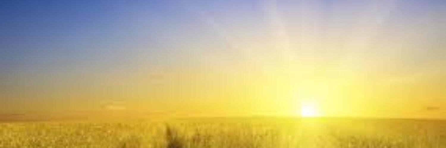 SaraDodd03's profile banner image