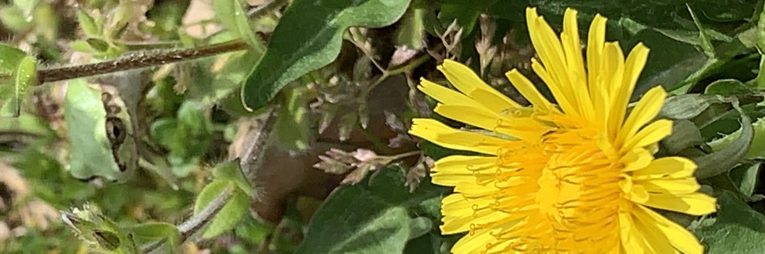 ブラァ banner