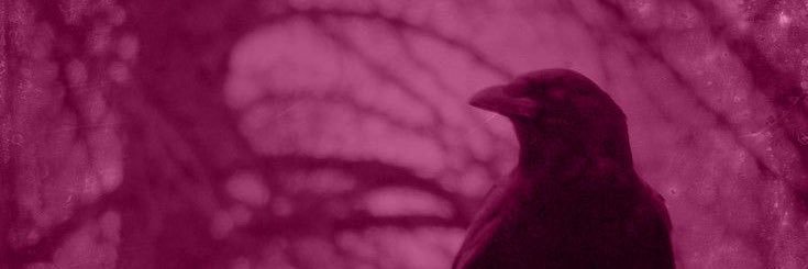 hiidefriley's profile banner image