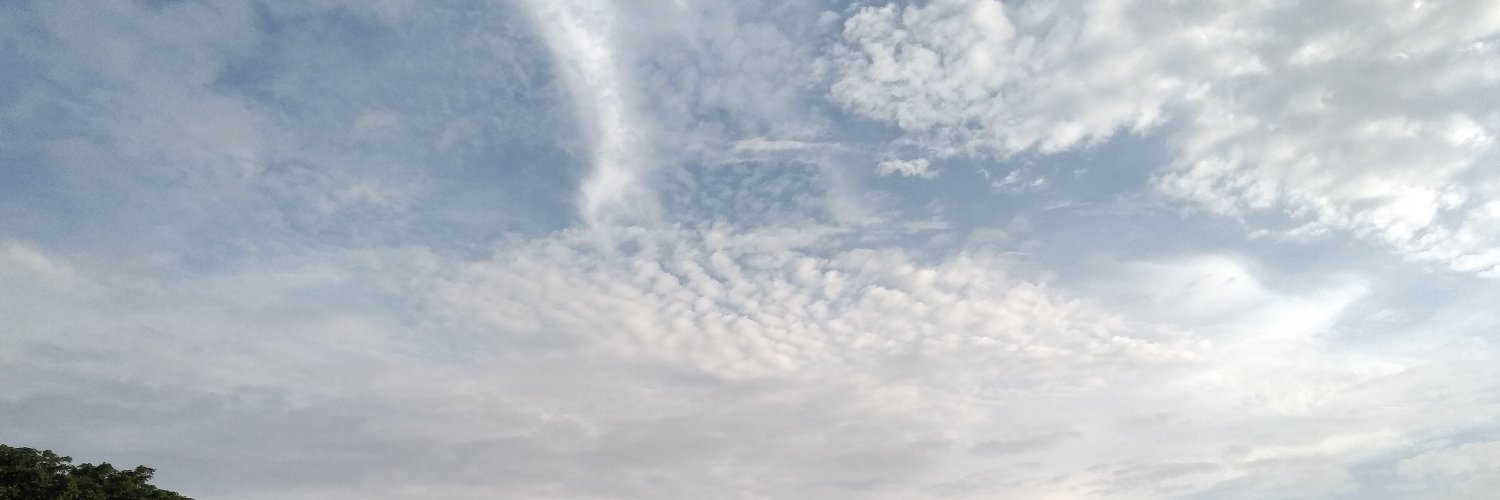 viennisaa's profile banner image