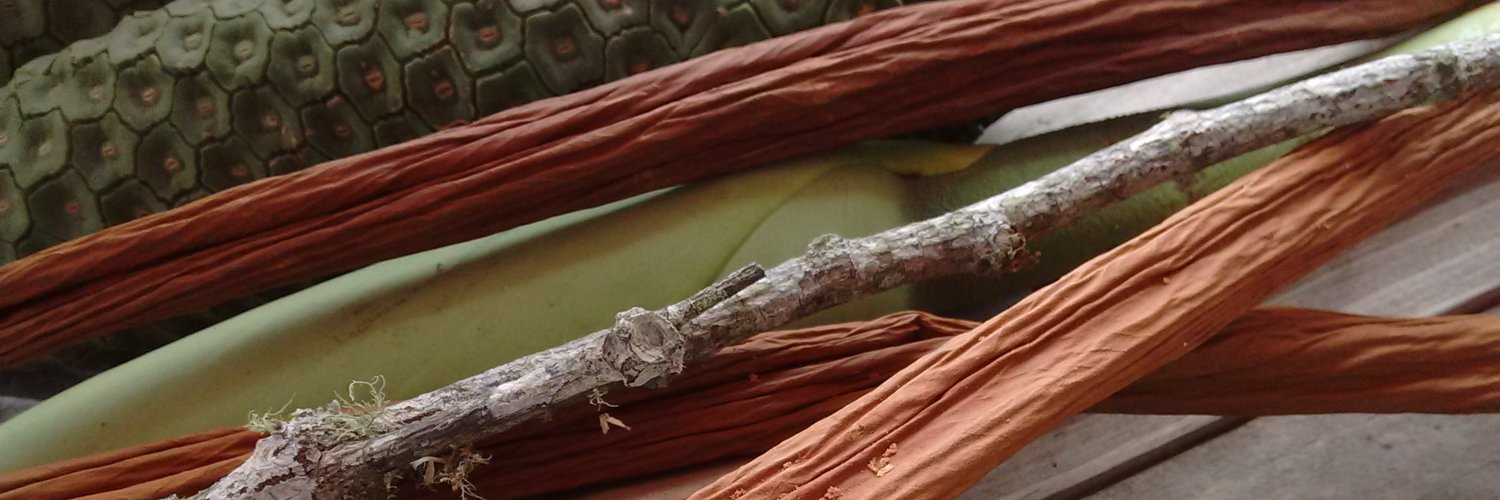 tactilista's profile banner image