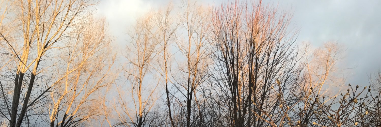 ax_bt's profile banner image