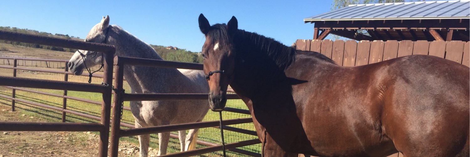 Butzi 🇺🇸🇺🇸🇮🇱✡️ banner