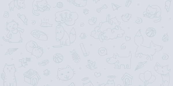 WebTelegram's profile banner image