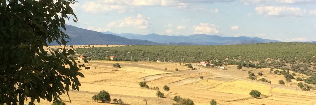 TAHSİN YILMAZ banner