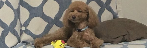 11misaki20 Profile Banner