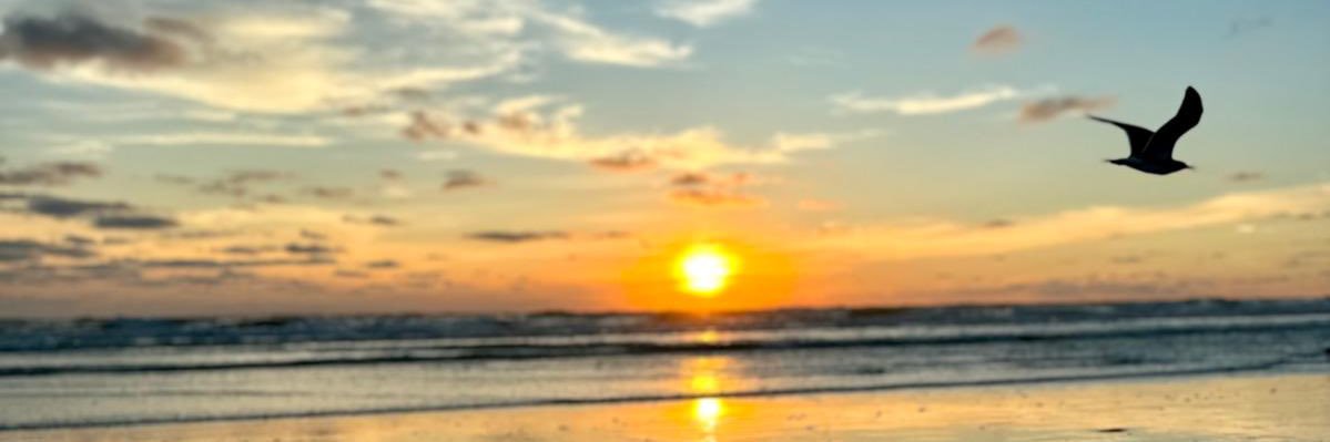 amandaheard_'s profile banner image