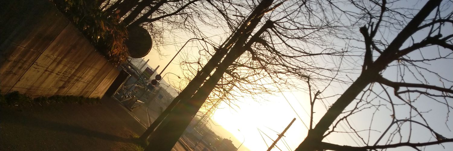 Z_nano330's profile banner image