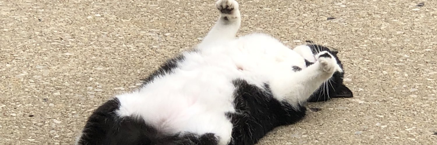 GmailGracee's profile banner image
