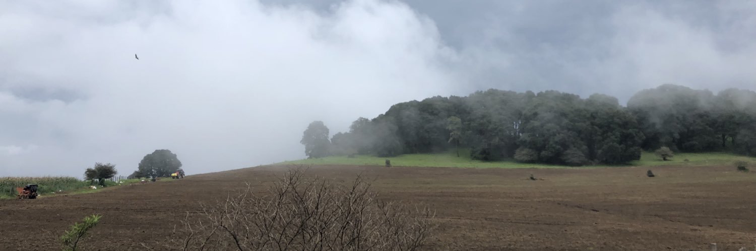 A_Mar_t's profile banner image
