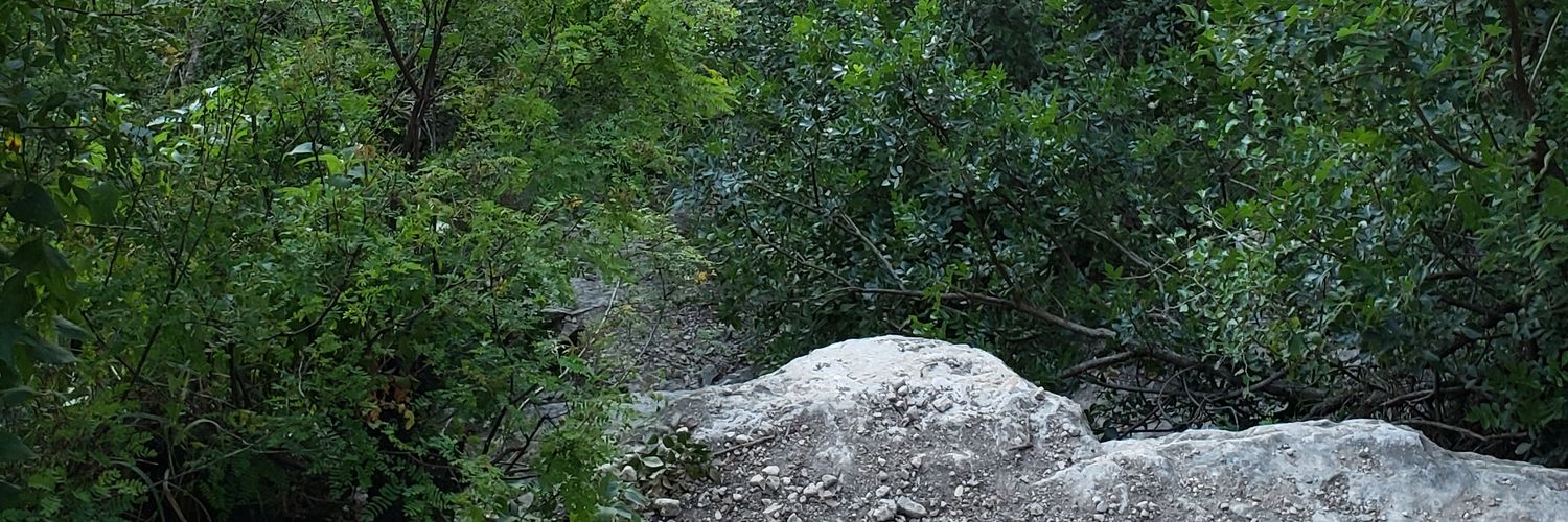 TheOnlyJuan01's profile banner image