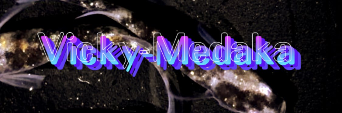 vicky_medaka's profile banner image